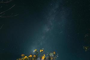 voie lactée et étoiles de nuit dans les champs photo