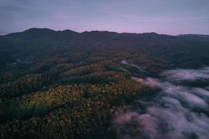 volant au-dessus des nuages lever de soleil et brouillard photo