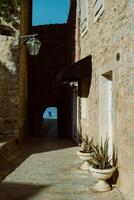 magnifique rue dans budva vieux ville, Monténégro. été ensoleillé journée. photo