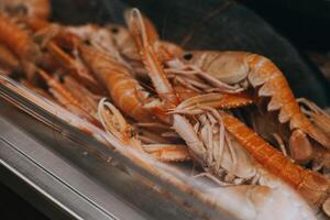 Frais brut crevettes et Huîtres sur afficher sur la glace à les pêcheurs marché. Fruit de mer magasin. en bonne santé aliments. poisson marché vitrine photo