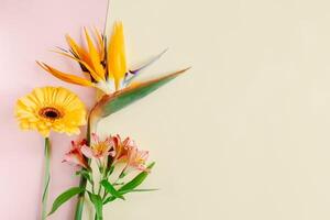 magnifique fleurs alstroémère, gerbera et strelitzia reginae sur une rose pastel Contexte. photo