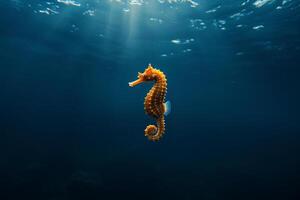 hippocampe flottant dans le foncé Profond mer l'eau. lumière du jour. photo