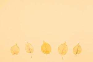 l'automne Contexte avec Jaune feuilles. Jaune pastel Contexte. photo