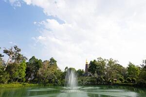 vert jardin autour le pagode photo