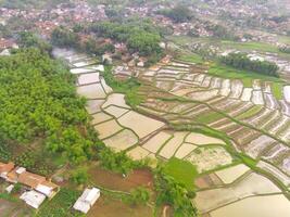 agricole patchwork paysage. aérien la photographie. aérien panorama plus de vert riz champ. coup de une drone en volant 200 mètres haut. cikancung, Indonésie photo