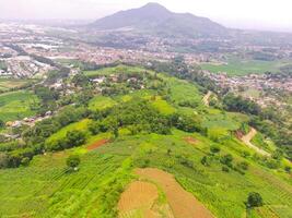 aérien vue de de pointe cikancung colline, Indonésie. paysage de une vert sommet de la colline avec plantations. agricole champ. au-dessus de. agricole industrie. coup de une drone en volant 100 mètres photo