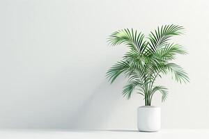 une paume arbre dans une pot regards magnifique contre une nettoyer blanc Contexte. photo