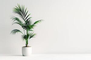 imaginer une mince paume arbre croissance dans une moderne pot. photo