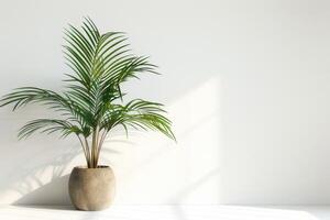 imaginer une mince paume arbre croissance dans une moderne pot. photo