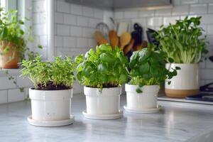 herbes dans des pots sur le cuisine compteur photo