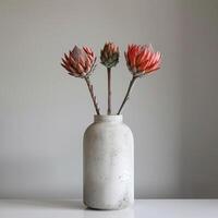 une minimaliste béton vase détient une frappant protea bouquet. photo