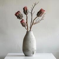 une minimaliste béton vase détient une frappant protea bouquet. photo