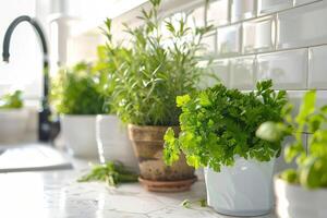 herbes dans des pots sur le cuisine compteur photo