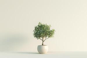 petit ficus arbre élégant des pots sur une pur blanc Contexte photo