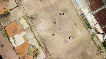 minuscule les enfants en jouant Football Balle sur toit Haut dans pauvres district. photo