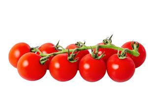 rouge mûr Cerise tomates sur une branche isoler sur une blanc Contexte. légume tomates. photo