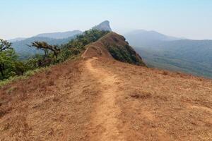 Jaune champ sur Haut de le Montagne à monjong, chiang Mai, Thaïlande photo