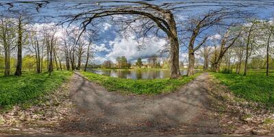 360 hdri panorama vue sur piéton en marchant chemin parmi peuplier bosquet avec maladroit branches près Lac dans plein sans couture sphériqueéquirectangulaire projection avec photo