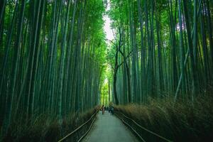 arashiyama bambou rainure ou Sagano bambou forêt, situé dans Arashiyama, Kyoto, Japon photo