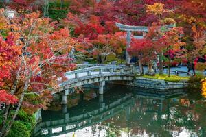 l'automne feuillage à eikado zenrinji temple dans Kyoto, Kansaï, Japon photo