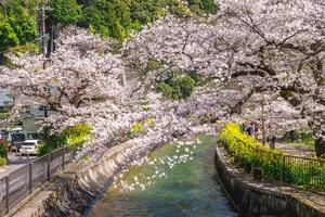 yamashina canal, une partie de le Lac biwa canal dans yamashina district, shiga, Japon photo