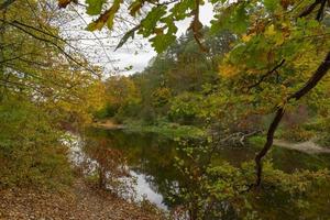 sombre paysage d'automne de forêt colorée au bord de la rivière photo