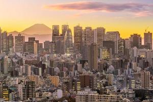 Tokyo skyline et montagne fuji photo