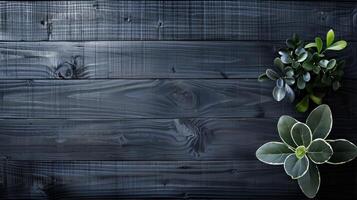 en bois planche texture Contexte avec une décoratif bois noir plante sur le surface photo