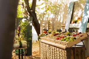 vibrant biologique des fruits et des légumes à le Les agriculteurs marché, une vacant petit affaires espace proche. naturel, fait maison produire avec prix Mots clés est disponible à le nourriture marché, le long de avec bio des produits. photo