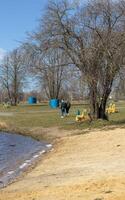 gens profiter ensoleillé journée en dehors dans le parc. saison photo