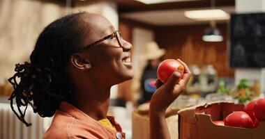 africain américain acheteur profiter Frais arôme de tomates à magasin, odeur fraîchement récolté produire mis dans caisses à quartier supermarché. femme justificatif local agriculture. caméra 2. photo