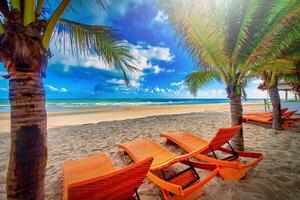 plage chaises et noix de coco paume arbre avec bleu ciel Contexte sur le tropical plage à jour photo