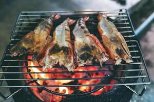 grand crevettes sont mis sur un le fer plaque et grillé plus de une chaud charbon poêle. photo