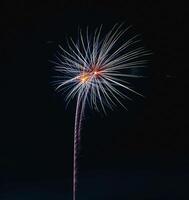 feux d'artifice exploser dans le foncé ciel à célébrer. photo
