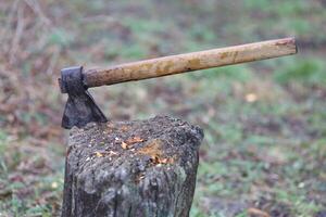 hache dans arbre souche, en plein air photo