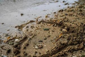 dessiner une signe de l'amour sur le le sable de le littoral. photo