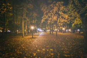 nuit parc dans l'automne avec déchue Jaune feuilles.ville nuit parc dans d'or l'automne avec lanternes, déchue Jaune feuilles et érable des arbres. ancien film esthétique. photo