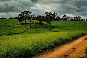 rural splendeur un photo