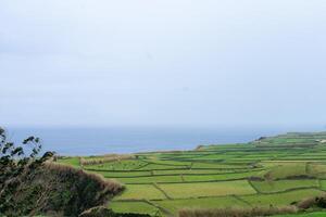 traditionnel açorien vert des champs bordé par pierre des murs, surplombant le atlantique océan. photo