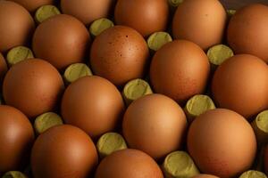 une soigneusement arrangé rangée de marron poulet des œufs dans une papier carton carton. le des œufs sont uniformément espacés, mise en évidence leur uniformité. le doux lumière jette doux ombres, création une chaud, attrayant atmosphère. photo