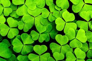 Contexte avec vert trèfle feuilles pour Saint patrick's journée. trèfle comme une symbole de fortune. photo