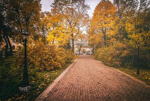 d'or l'automne dans une ville parc avec des arbres et déchue feuilles sur une nuageux journée. ancien film esthétique. photo