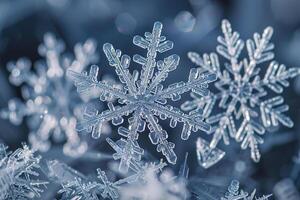 une flocon de neige en dessous de une microscope dans le forme de une à six branches étoile. photo