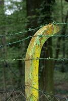 des postes avec barbelé câble dans le forêt photo