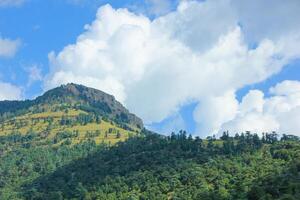 le montagnes de chélia Algérie photo