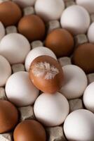Oeuf Contexte. blanc et marron des œufs dans une plateau. protéine aliments. éco BIO. photo