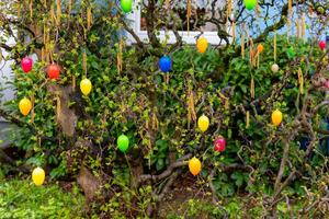 des œufs comme Pâques décoration sur une buisson photo