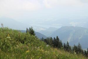 une vue de le autrichien campagne à st gilgen photo