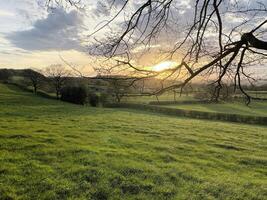 une vue sur la campagne du cheshire à peckforton photo