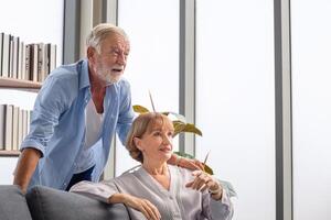 Sénior couple dépenses temps ensemble dans le vivant chambre, content famille concepts photo